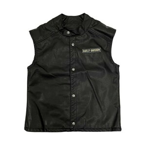 HARLEY-DAVIDSON in[[_rbh\jLbY {[CY GuC_[ XibvtFCNU[xXg_SGI-6070183