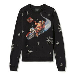 HARLEY-DAVIDSON in[[_rbh\jEBY nbs[n[[ fCYt[X_96823-25VW