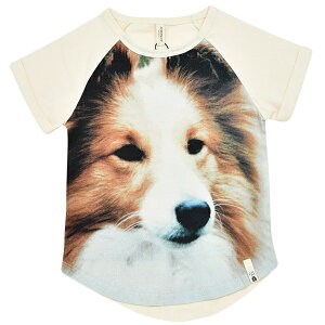 POPUPSHOP ySALE^50%OFFzI[KjbNRbg LbYuXTVc() | I[KjbN  Rbg xr[ Aj}   bV[ ̎q j̎q EFA  gbvX A f
