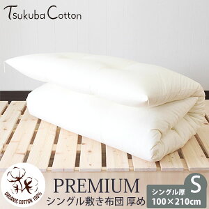 ΃Rbg I[KjbNRbg v~A VO~zc 100×210 ߃^Cv | I[KjbN Rbg  i` Mtg v[g a ̓ ̓ ~ VO