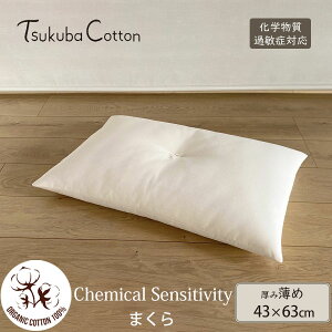 ΃Rbg I[KjbNRbg CSΉ ܂ ߃^Cv 43×63 | I[KjbN Rbg  ܂ }N Q s[ 100 { i` n j ̓ ̓  b