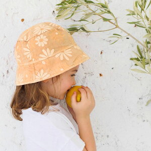 buho I[KjbNRbg xr[{unbg DAISY | I[KjbN Rbg  xr[Xq Mtg v[g t Xq  UVJbg UVPA Ԃ xr[ oPn R ԕ fCW[ 