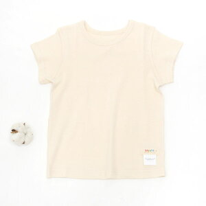 i^ I[KjbNRbg LbYTVc | I[KjbN Rbg q TVc  qǂ a v[g i`  n JWA R[f t ĕ t t ĕ [M 1/1