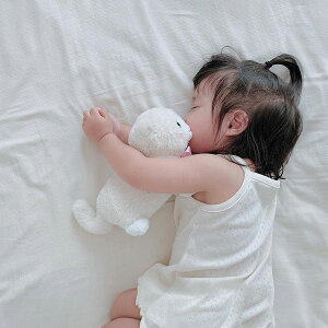 i^ I[KjbNRbg G[L~\[ | I[KjbN Rbg   L~ i` n ҂ A_[EFA q 100 { ̎q [M 1/1]