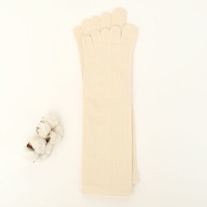 �����A�[�g�N���u �I�[�K�j�b�N�R�b�g�� 5�{�w�S���Ȃ�����\�b�N�X | �I�[�K�j�b�N �R�b�g�� �C�� ���b�O�E�G�A �ܖ{�w�\�b�N�X �a���� �v���[���g �i�`������ �S���Ȃ� �t�H���C���O �j��