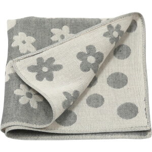 OcX I[KjbNRbg ʁԕK[[nJ` |  |Pbg nJ` Ԃ n xr[ ͂񂩂  v`Mtg q RbgK[[ [M 1/8]