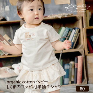 Amorosa mamma I[KjbNRbg xr[y܂̃RbgzTVc 80 | I[KjbNRbg xr[ j Jbg\[ v[g Mtg oYj a o[Xf[ i Vv