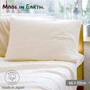 ChCA[X I[KjbNRbg OdDK[[s[P[X Ȃ | I[KjbN Rbg  i` H ~ t   Jo[ ̎ K[[ s[ Q  [M 1/1]