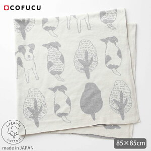 cofucu I[KjbNRbg ʕAtK | q I[KjbN Rbg q xr[ AtK   Mtg xr[pi a v[g  n oYj]
