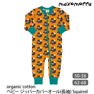 maxomorra I[KjbNRbg xr[Wbp[Jo[I[ijSquirrel | I[KjbN Rbg Ԃ V  Jo[I[ V p[X Mtg xr[ ̎q j̎q pW