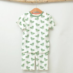 Pigeon I[KjbNRbg LbYpW}() Birds | I[KjbN Rbg  i` Mtg v[g a  t QԒ [EFA pW} q 炩  o[h