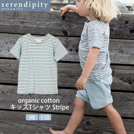 serendipity オーガニックコットン キッズTシャツ(半袖) Stripe | オーガニック コットン 綿 ナチュラル ギフト プレゼント 半袖 春夏 薄手 子供用 ストライプ ユニセックス [M便 1/2]