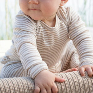 serendipity I[KjbNRbg xr[ tCX{fBX[cStripe () | ZfBseB I[KjbN Rbg xr[ Ԃ  {fBX[c  Mtg v[g oYj X