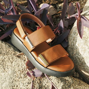 PARADIS COULEUR ����x���N���T���_��