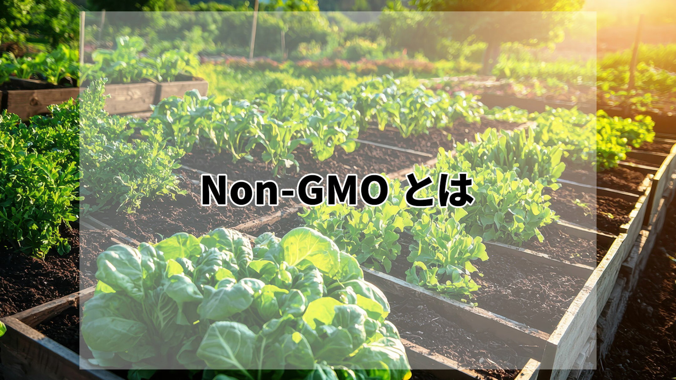 GMOとNon-GMOとは