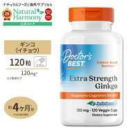 [冴えた毎日を過ごしたい方に!]イチョウ葉 サプリメント 濃縮ギンコエキス 120mg 120粒 Doctor's BEST （…