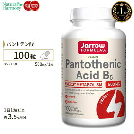 ジャローフォーミュラズ ビタミンB5 パントテン酸 カルシウム 500mg 100粒 約3ヶ月分 Jarrow Formulas Pantothenic Acid