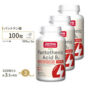 [3個セット] ビタミンB5 パントテン酸 カルシウム 500mg 100粒 約3ヶ月分 Jarrow Formulas Pantothenic Acid