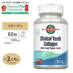 yX8000~ȏ1000~OFFz[ӂ锧܂ł]NjJ [X R[Q TYPE I & III 600mg 60Vegcp YLYL Ki wAPA lCPA Clinical Youth Collagen Type & , Veg Cap (Btl-Plastic) 6