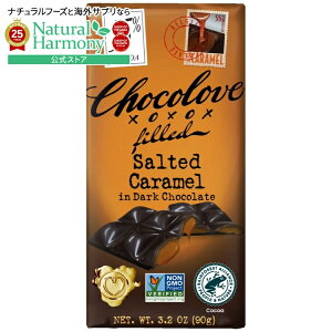yX8000~ȏ1000~OFFz[10Zbg] `Ru _[N`R[g L Chocolove Salted Caramel in Dark Chocolate y񂹏izy킹Ĕz