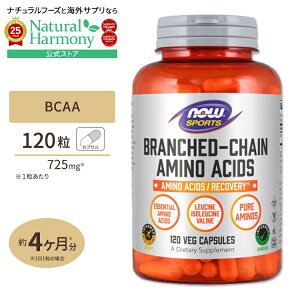 BCAA 120�� NOW Foods (�i�E�t�[�Y) BCAA (Branched Chain Amino Acid) 240 CAPS �J�v�Z�� ���򍽃A�~�m�_ BCAA ���C�V�� �C�\���C�V�� �o���� ���N�T�v�������g �h�{�⏕�H�i �C�O �A�����J �i�E�X�|�[�c nowsports