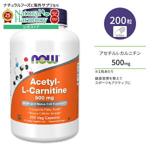 [g[jOɔR邠Ȃ]iEt[Y AZ` L-Jj` xWJvZ 500mg 200 NOW Foods ACETYL L-CARN 200 VCAPS Tvg N⏕Hi RăT|[g wXPA T|[g