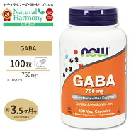 【ポイントUP★7日20時-18日】[休息をしっかりと取りたい方に♪]GABA (ギャバ) 750mg 100粒 NOW Foods (…