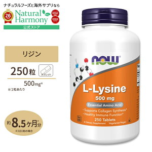 �y�|�C���gUP��2��20��-�z[�����Ɣ����܂Ƃ߂ăP�A!]L-���W�� 500mg 250�� NOW Foods(�i�E�t�[�Y) L-lysine 500mg 250tablets �^�u���b�g �A�~�m�_ ���N�T�v�������g �h�{�⏕�H�i �C�O �A�����J