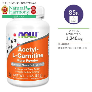 [g[jOɔR邠Ȃ]iEt[Y AZ`L-Jj` sApE_[ 85g (3.0oz) NOW Foods Acetyl-L-Carnitine Pure Powder Jj` A~m_ NTvg h{⏕Hi CO A