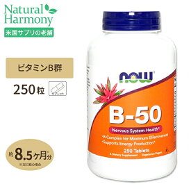 ナウフーズ B-50 サプリメント 250粒 タブレット NOW Foods B-50 250 tablets ナイアシン パントテン酸 PABA コリン イノシトール ベジタリアン
