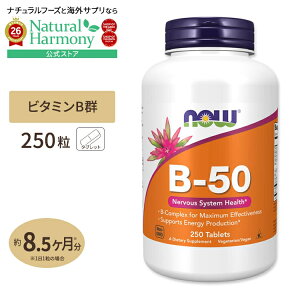 �y�|�C���gUP��23��-27��9���z[���₩�Ȗ����Ɍ������Ȃ��h�{�f]�i�E�t�[�Y B-50 �T�v�������g 250�� �^�u���b�g NOW Foods B-50 250 tablets �i�C�A�V�� �p���g�e���_ PABA �R���� �C�m�V�g�[�� �x�W�^��