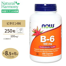 ビタミンB6 100mg 250粒 NOW Foods (ナウフーズ)