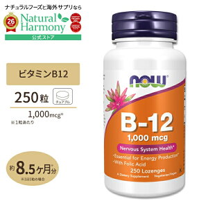 [�������猒�N�ȑ̂Â�����T�|�[�g]�i�E�t�[�Y �r�^�~��B-12 1000mcg 250�� �g���[�` �^�C�v NOW Foods B-12 1000mcg 250 LOZ �T�v�������g �r�^�~�� �r�^�~��B �t�_ ���N�T�|�[�g 1mg �V�A�m�R�o���~�� �G