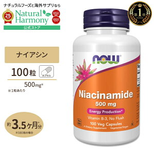 yő1000~OFFN[|z[ptɉ߂!]iEt[Y iCAVA~h r^~B3 500mg 100 NOW Foods Niacinamide (B-3) CLCLƂ GiW[`[W yf NTv
