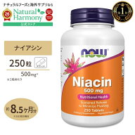 【ポイントUP★7日20時-18日】[パワフルに過ごしたい方に!]ナウフーズ ナイアシン サプリメント 500mg 25…