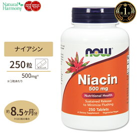 ナウフーズ ナイアシン サプリメント 500mg 250粒 NOW Foods Niacin タブレット