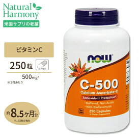 【協賛ポイントUP&まとめ買いクーポン対象★4日20時-】C-500 アスコルビン酸カルシウム 250粒 NOW Foods(ナウフーズ)