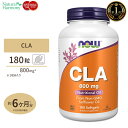 CLA(共役リノール酸) 800mg 180粒 NOW Foods(ナウフーズ)【ポイントUP対象★11日11:59まで】