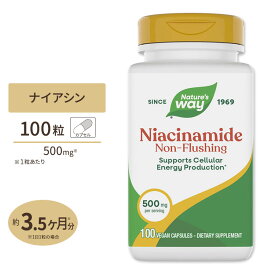 [パワフルに過ごしたい方に!]ネイチャーズウェイ ナイアシンアミド 500mg 100粒 カプセル Nature's Way Niacinamide ノンフラッシング 美容 健康 ビタミンB-3 健康サプリメント 栄養補助食品 海外 アメリカ