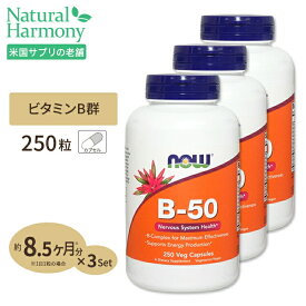 ナウフーズ B-50 サプリメント 250粒 NOW Foods ビタミンB群11種 葉酸 ナイアシン ビオチン パントテン酸 PABA コリン イノシトール お得サイズ ベジカプセル