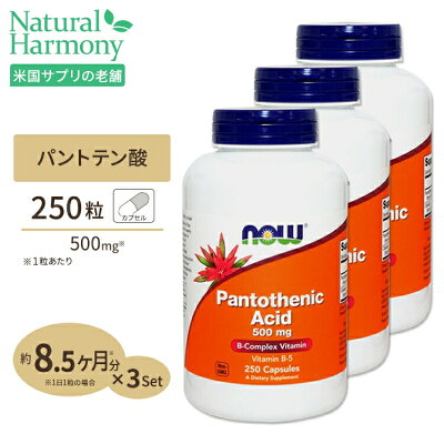 パントテン酸カルシウム250粒