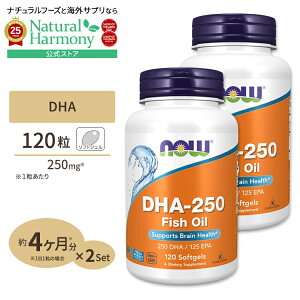 yő1000~OFFN[|z[׋Edŗ͂𔭊][2Zbg]iEt[Y DHA-250 tBbVIC 120 \tgWF NOW Foods DHA-250 Fish Oil Softgels IK3 NTvg h{⏕