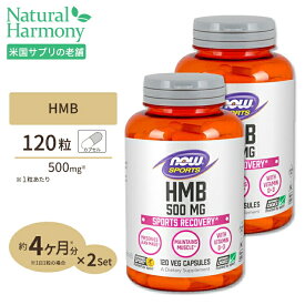 [2個セット] HMB 500mg 120粒《約3ヵ月分》 NOW Foods(ナウフーズ)