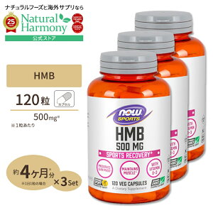 [NIȃX^CڎwɁI]HMB 500mg 120s3t NOW Foods(iEt[Y) HMB 500mg120Vcaps xW^AJvZ GC`Gr[ JVE -`_JVE -qhL