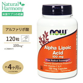 NOW Foods アルファリポ酸 100mg 120粒 ベジカプセル ナウフーズ ALPHA LIPOIC ACID 100mg 120vegcapsules