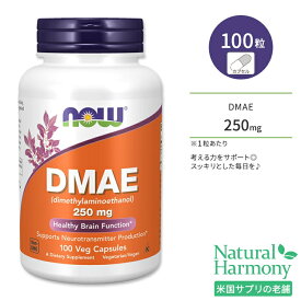 ナウフーズ DMAE 250mg ベジカプセル 100粒 NOW Foods DMAE ジメチルアミノエタノール