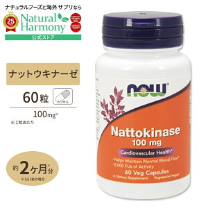 [�����K���L�[�v��ڎw������]�[���L�i�[�[ �i�b�g�E�L�i�[�[�i�[���y�f�j100mg 60�� NOW Foods(�i�E�t�[�Y) Nattokinase 100mg 60vcaps �x�W�^���A���J�v�Z�� ���N�T�v�������g �h�{�⏕�H�i �C�O �A��