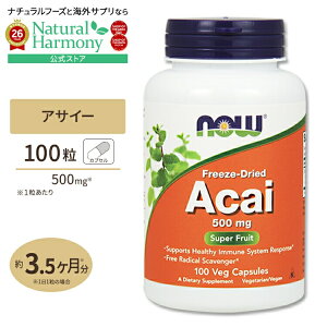 �y�|�C���gUP��2��20��-�z[�_�C�G�b�g���撣���Ă������]�I�[�K�j�b�N �A�T�C�[ 500mg 100�� NOW Foods(�i�E�t�[�Y) Acai 500mg 100Vcaps �x�W�^���A���J�v�Z�� ���N�T�v�������g �h�{�⏕�H�i �A���� 