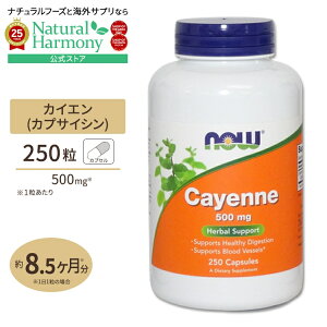 yő1000~OFFN[|z[_CGbge܂]JCGihqj 500mg 250 NOW Foods(iEt[Y) Cayenne 500 mg - 250 Capsules JvZ NTvg h{⏕Hi CO AJ t@Cg