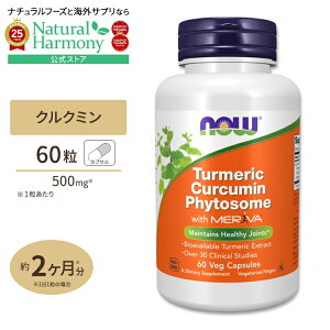 [̐Ȃ]iEt[Y NN~tBg\[ Tvg 60 NOW Foods Turmeric Curcumin Phytosome |tFm[ xWJvZ ֐